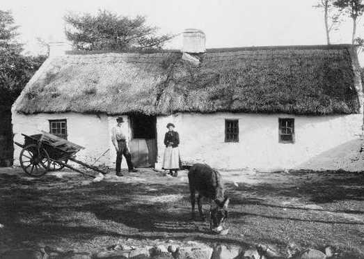 Old Irish Farmhouse