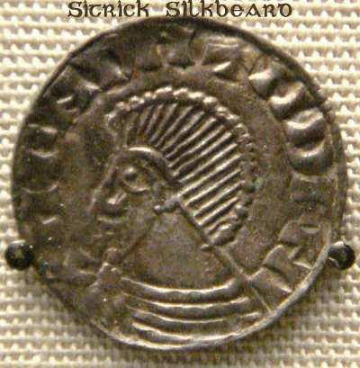 Sitric Silkbeard