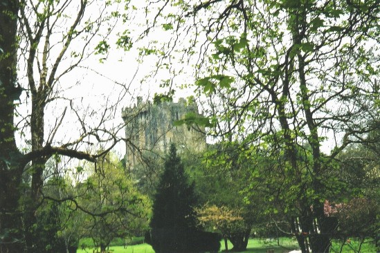 Castle scene through trees - Public Domain Photograph