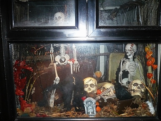 Halloween window - Public Domain Photograph