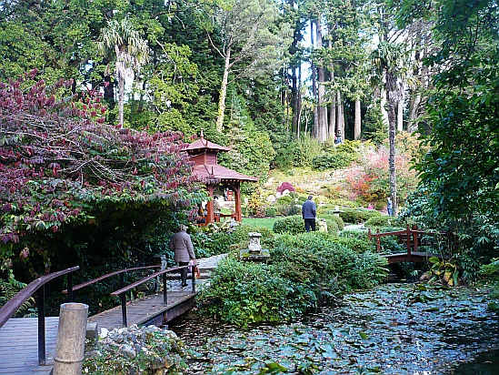 Japanese Garden bridge Powerscourt - Public Domain Photograph