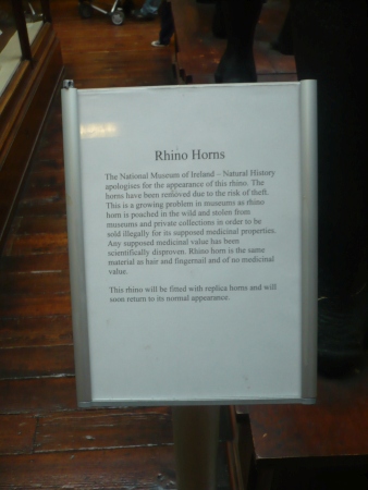 Museum Rhino Missing Horn Sign - Public Domain Photograph