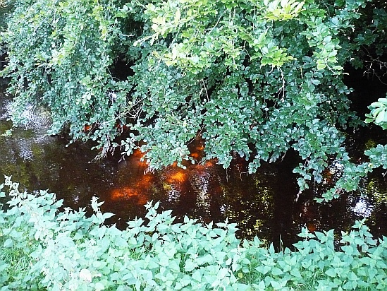 Orange Glow in River - Public Domain Photograph