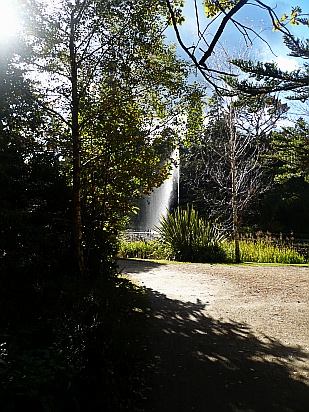 Water Fountain in Forest - Public Domain Photograph