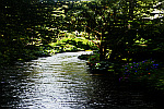 beautiful-river-scene