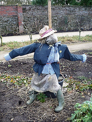 Garden scarecrow - Public Domain Photograph