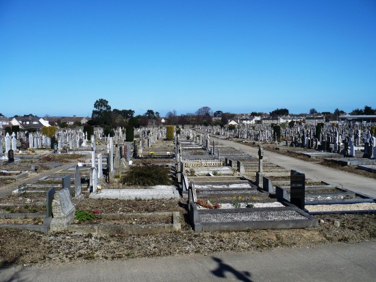 Headstones in graveyard - Public Domain Photograph