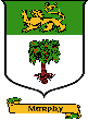 Gallery of Irish Coats of Arms