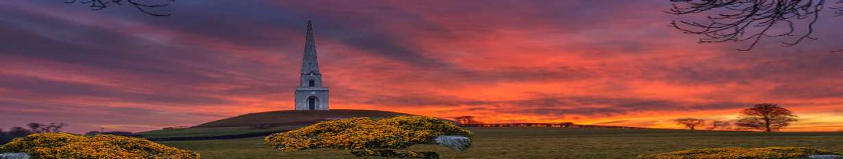Ireland Newsletter