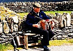 Accordion-player