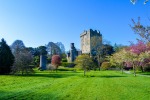 Blarney-Castle-Cork