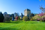 Blarney-Castle-Cork