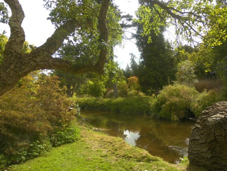 Brown river - Public Domain Photograph