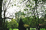 Castle-scene-through-trees