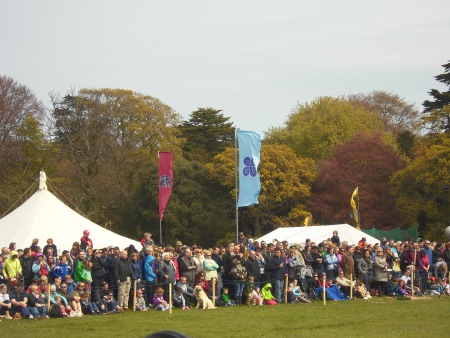 Crowd at fair - Public Domain Photograph