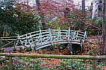 Curved-bridge