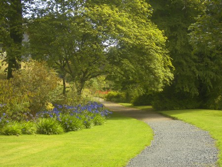 Curved path - Public Domain Photograph