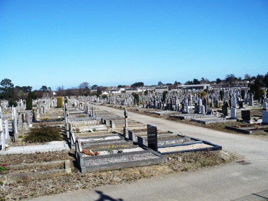 Deansgrange cemetery - Public Domain Photograph