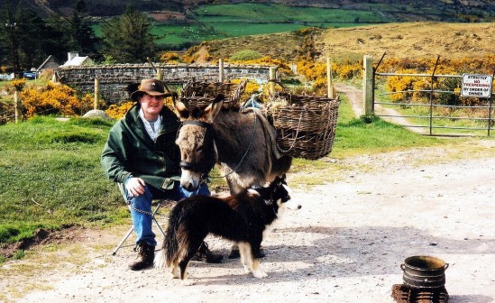 Donkey carrying turf - Public Domain Photograph