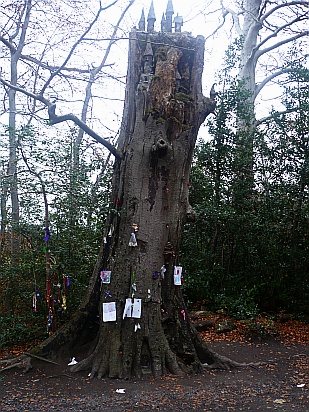 Fairy Tree Castle - Public Domain Photograph