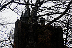 Fairy-castle-in-trees