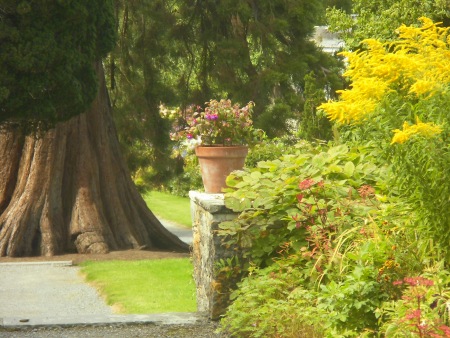 Flower pot with tree Birr Castle - Public Domain Photograph