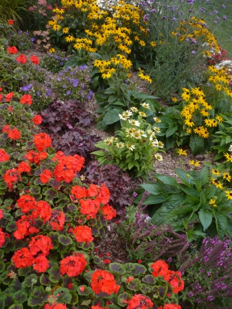 Flowerbed - Public Domain Photograph