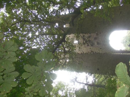 Gothic Arch - Public Domain Photograph