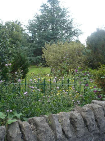 Green Railings - Public Domain Photograph