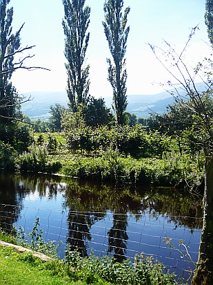 Landscape tree river - Public Domain Photograph