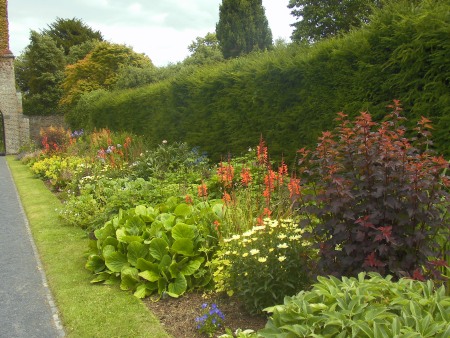 Long Flower Display - Public Domain Photograph