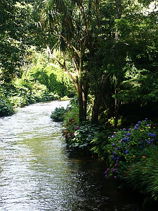 Mount Usher Gardens Wicklow - Public Domain Photograph