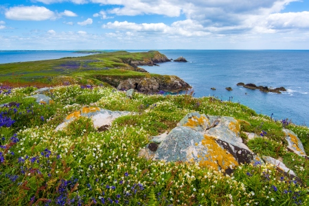 Saltee Islands Wexford - Public Domain Photograph