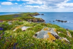 Saltee-Islands-Wexford