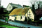 Thatch-Roofed-Cottage