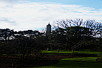 Tower-behind-trees