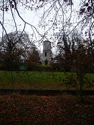 Tower in woods - Public Domain Photograph