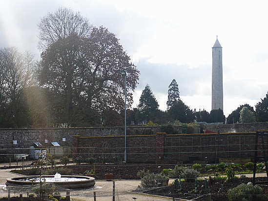 Vegtable garden - Public Domain Photograph