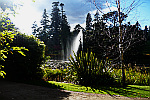 Water-Fountain-in-Pond