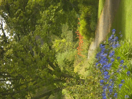 Winding path - Public Domain Photograph