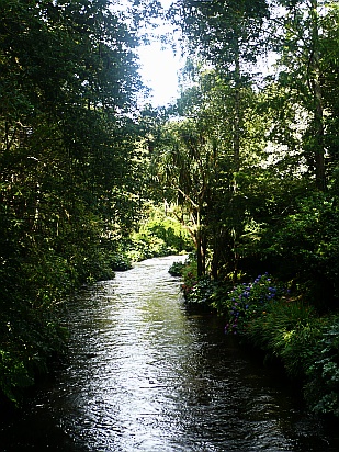 Beautiful river in sunlight - Public Domain Photograph