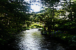 beautiful-river-in-sunlight