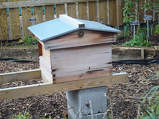 Bee hive - Public Domain Photograph