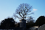 birds-nests-above-tower