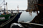 boats-in-harbour