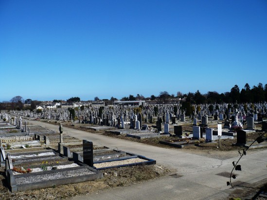 Burial ground - Public Domain Photograph