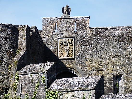 Cahir castle with eagle - Public Domain Photograph