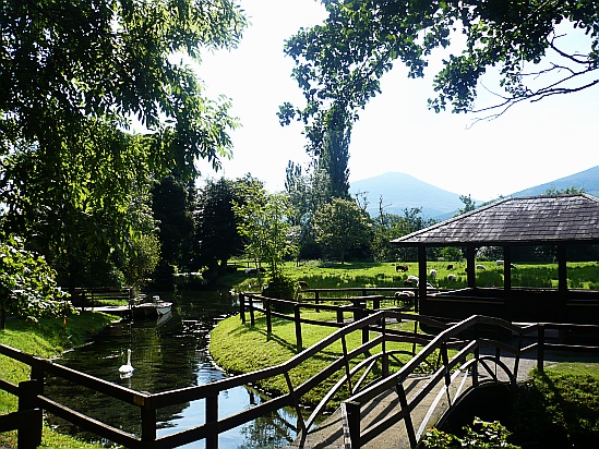 Country pond with bridge - Public Domain Photograph