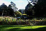 fountain-in-lake