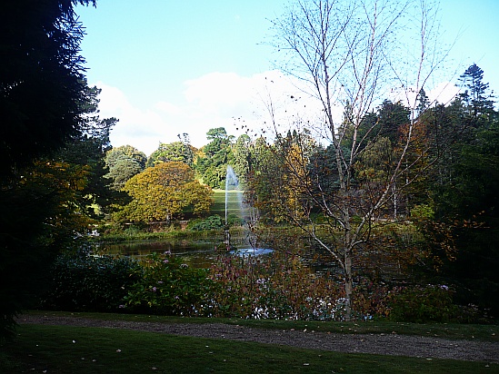 Garden landscape - Public Domain Photograph